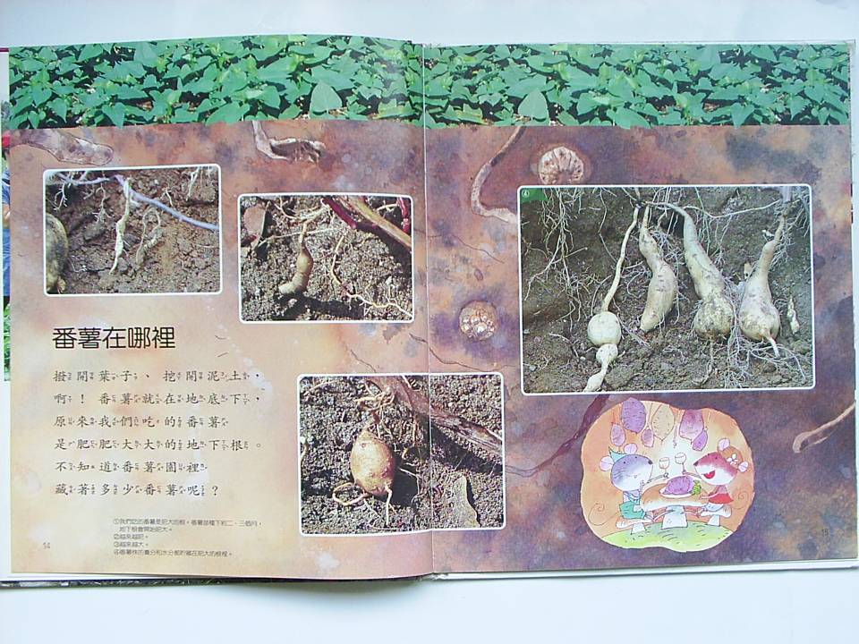 番薯 (08),绘本,绘本故事,绘本阅读,故事书,童书,图画书,课外阅读